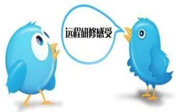 幼儿园长培训研修总结7篇
