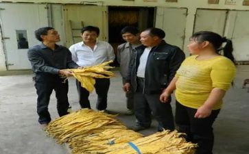110实训心得体会7篇