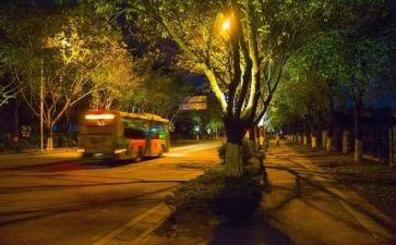 古诗《静夜思》教案6篇