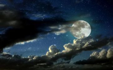 月夜作文推荐8篇