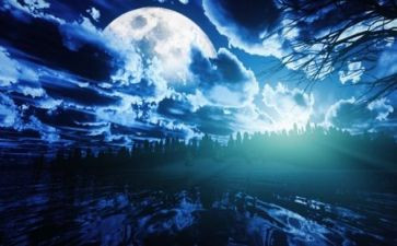 《静夜思》的读后感7篇