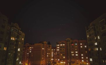 两棵树的作文优秀7篇