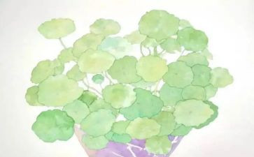 《我的老师》300字作文8篇