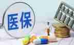 医保科半年度工作总结8篇