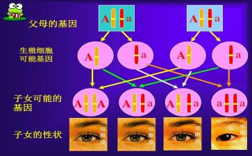 个人学期总结幼儿园8篇