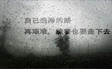 业务工作总结个人总结5篇