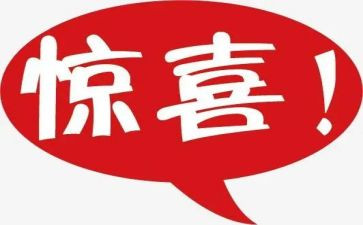 2023年总结报告模板参考7篇