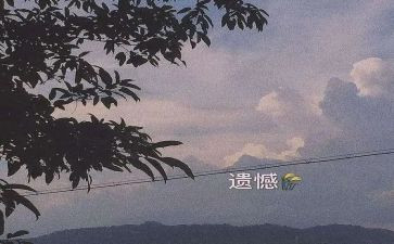 不留遗憾的演讲稿7篇