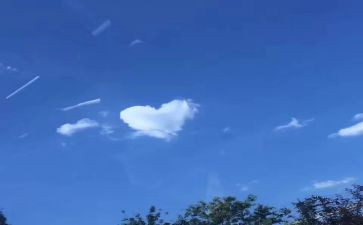 小学三年级上册英语工作总结6篇