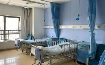 2022湿地活动总结6篇