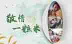 世界水日的演讲稿8篇