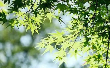 世界红十字日活动总结6篇