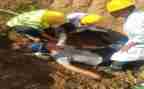 道路安全应急预案范文7篇