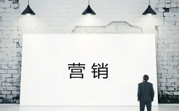 公司营销方案5篇