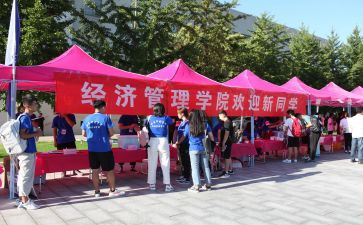 2024年庆元旦迎新年活动方案最新7篇