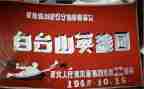 2024少年英雄事迹6篇