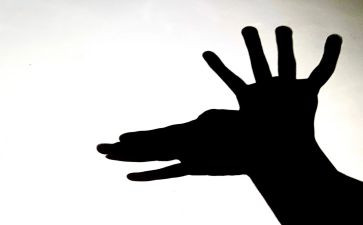 追影子教案5篇