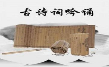 专科行政管理自我鉴定5篇