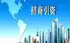 2023年保育组长工作计划8篇