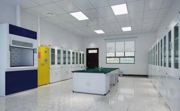 个体诊所2023工作总结5篇