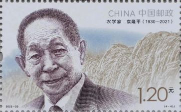 万圣节的活动策划6篇