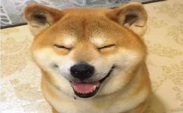 生活中有趣的事作文8篇