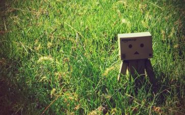 忧伤作文推荐5篇