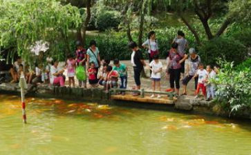 幼儿园游园活动方案7篇