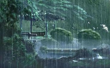 雨后的树作文优秀7篇
