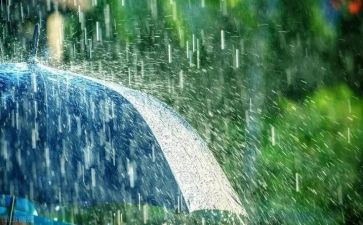 关于雨的书籍的读后感6篇
