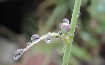 英雄雨来读后感最新6篇