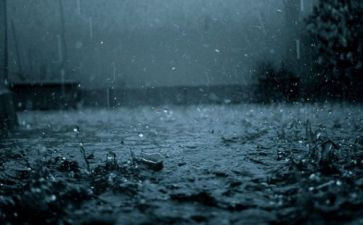 小英雄雨来读后感250一300最新6篇