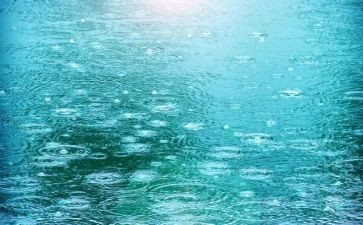 幼儿园大班雨的教案参考6篇