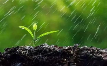 中班语言关于雨的教案模板7篇