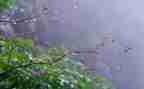 幼儿园大班雨的教案6篇