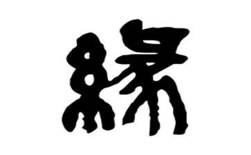 镜花缘的读书心得8篇