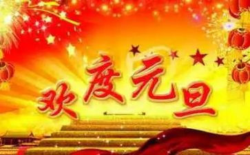 过元旦小学生作文模板8篇