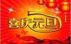 迎元旦活动方案5篇