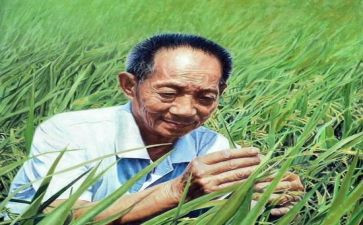 袁隆平的事迹优质5篇