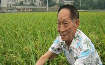 《袁隆平》作文推荐5篇