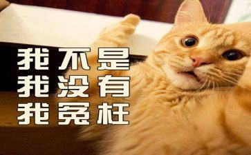我被冤枉的作文6篇