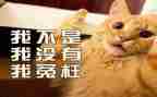 我被冤枉的作文6篇