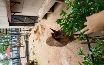2022百家讲坛的观后感7篇