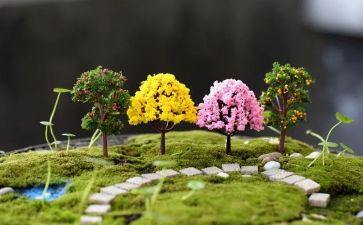 校园艺术节校长讲话稿8篇