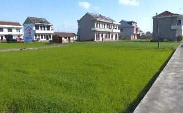 与小学生读书的心得6篇