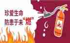 预防校园欺凌总结报告8篇