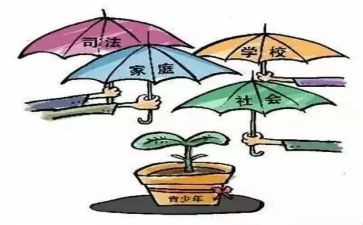 2023年科学教学计划5篇