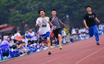 400字神秘岛读后感5篇