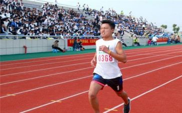 2022年九年级语文教学工作总结8篇