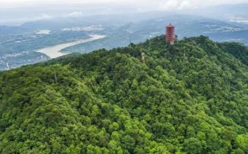 2022年营运工作计划8篇